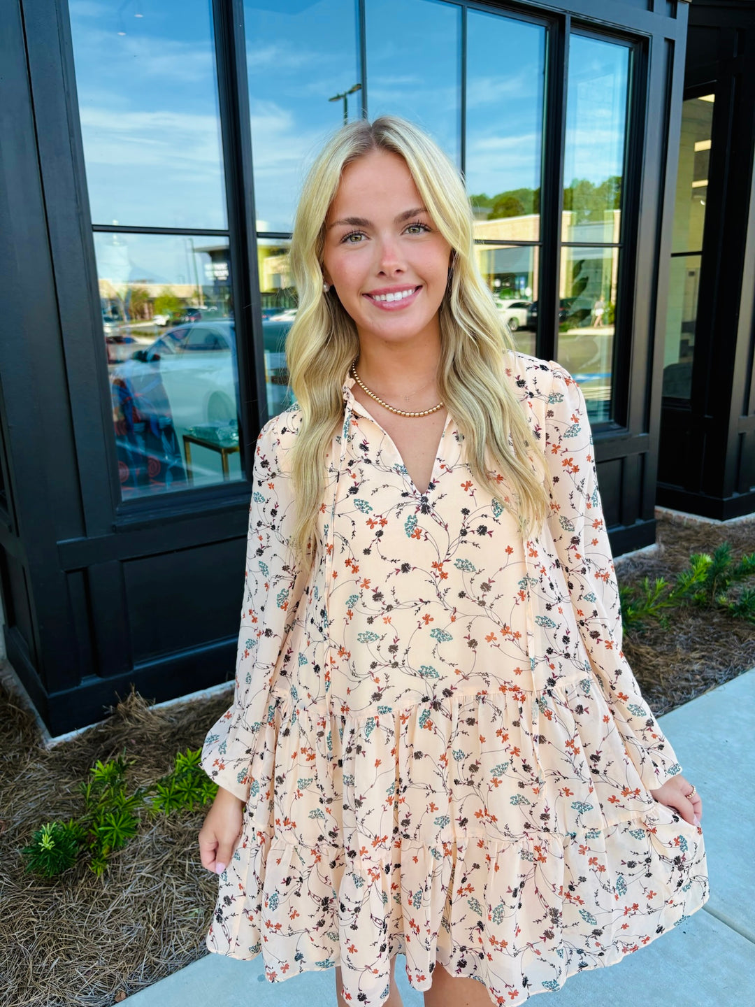 Marina Silky Chiffon Mini Dress
