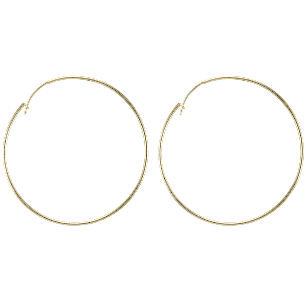 The Lisa Hoop Earring