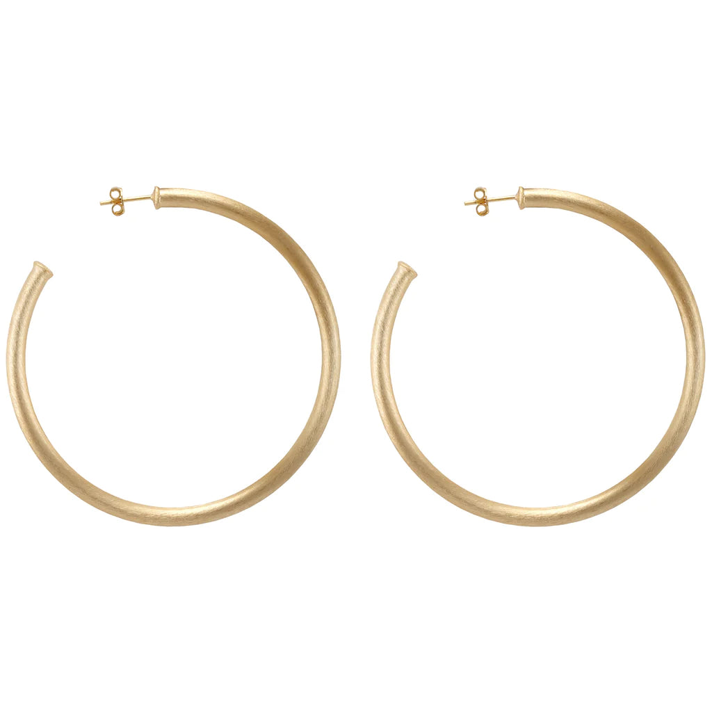 Everybody's Favorite Hoop Earrings