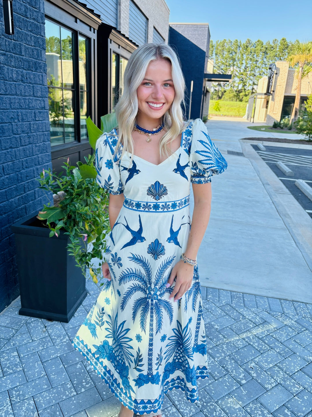 Blue Bird Midi Dress