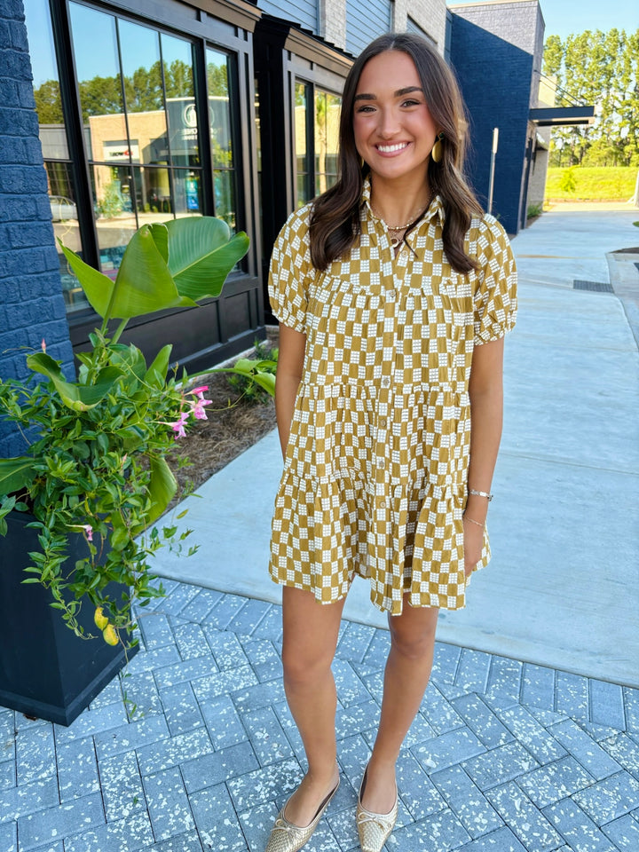 Terracotta Button Down Dress