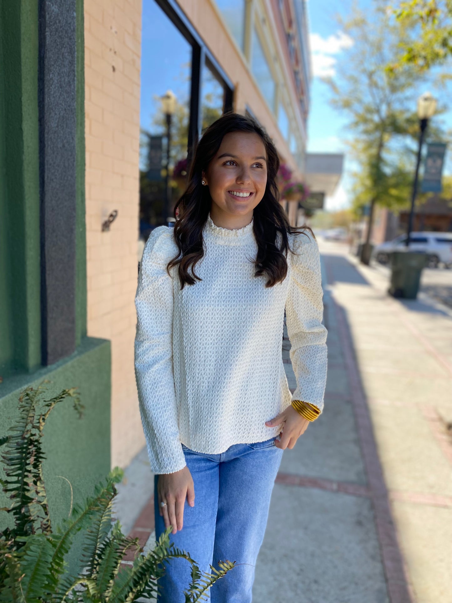 Cream Puff Sleeve Top