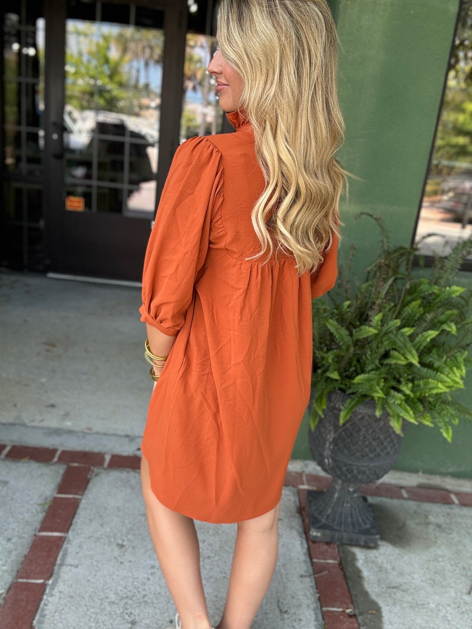 Rust Puff Sleeve Dress