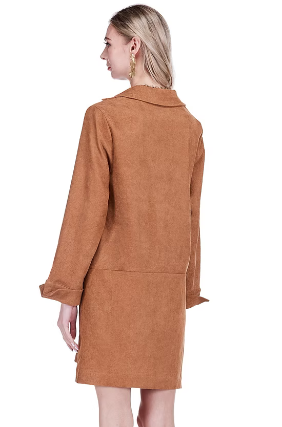 Split Neck Collar Dress