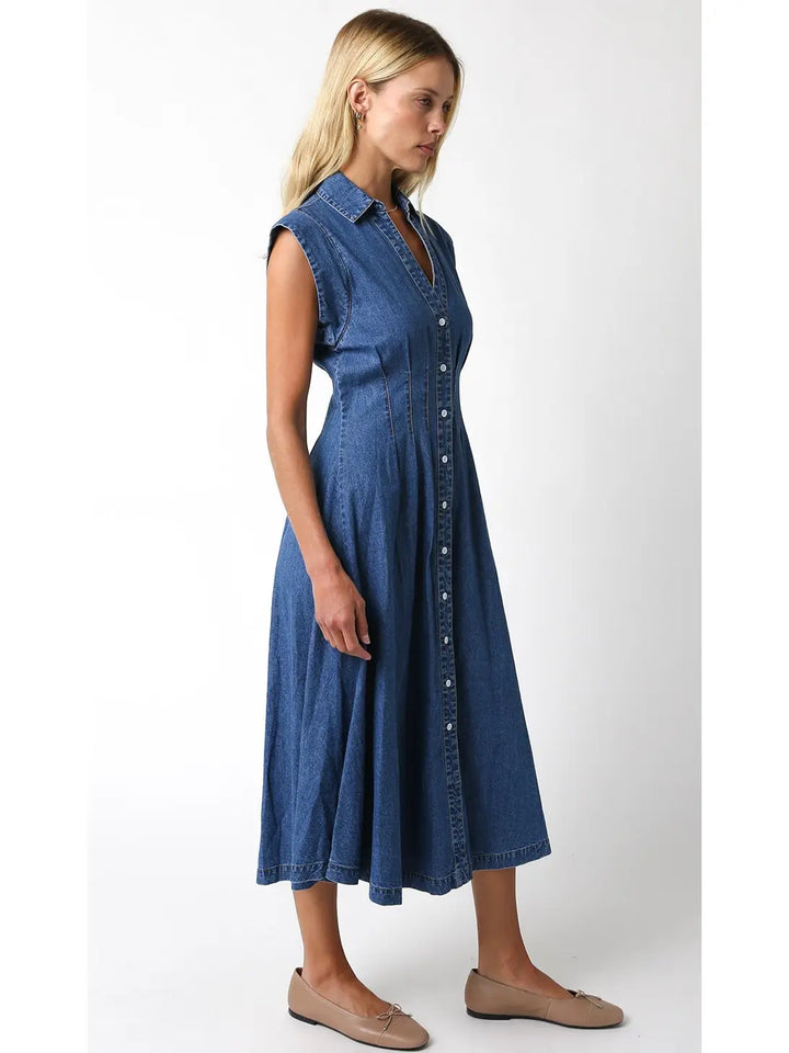 Blair Denim Midi Dress