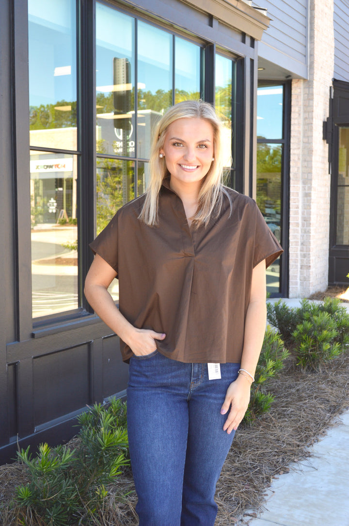 The Brown V-neck Collar Top