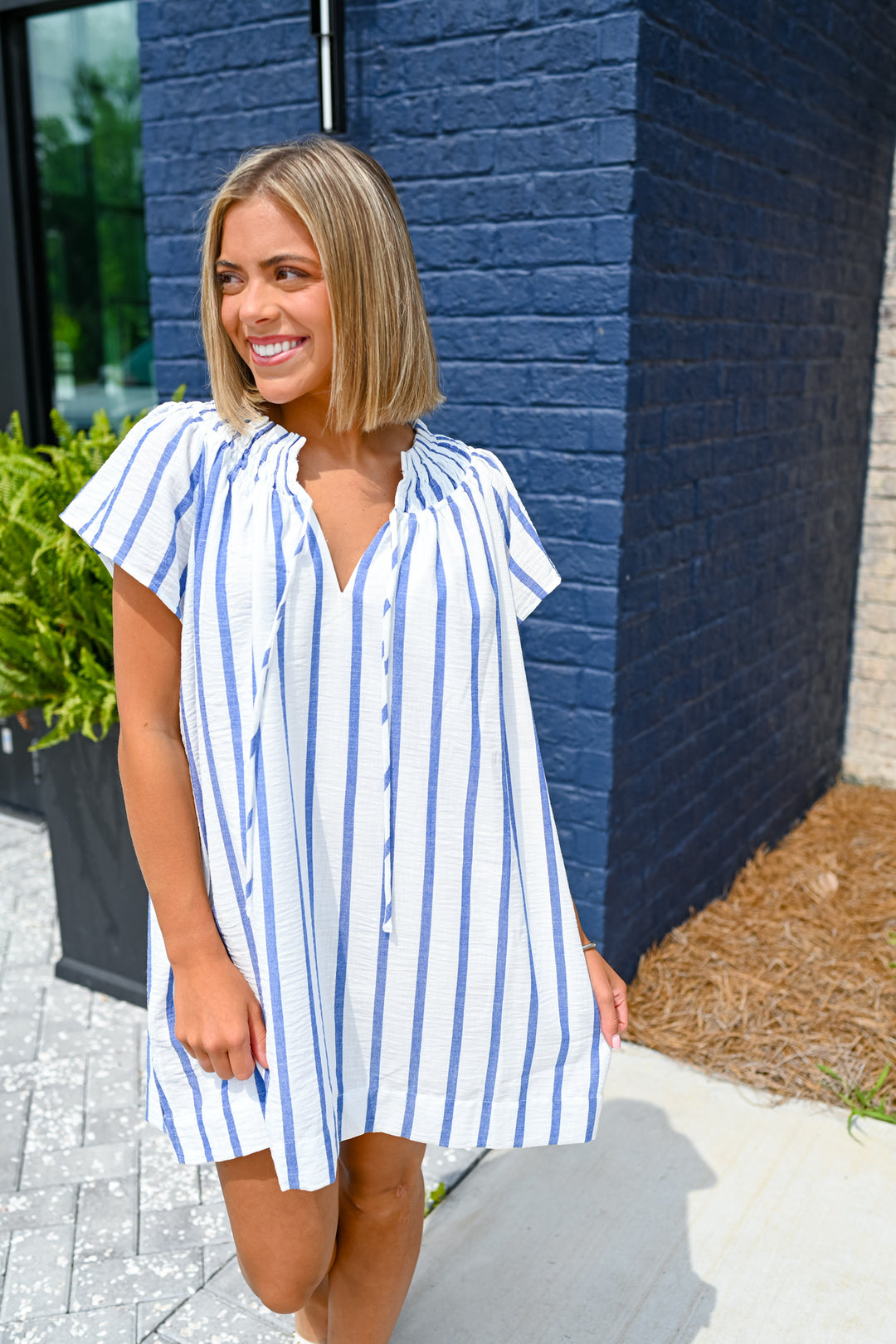 Blue Striped Day Dress