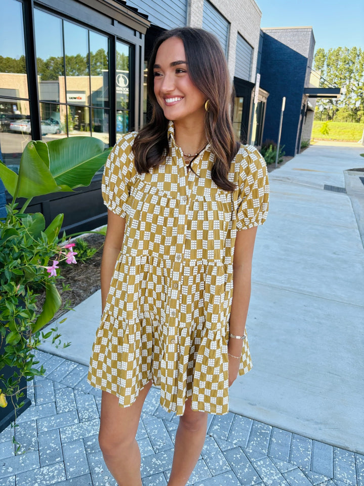 Terracotta Button Down Dress