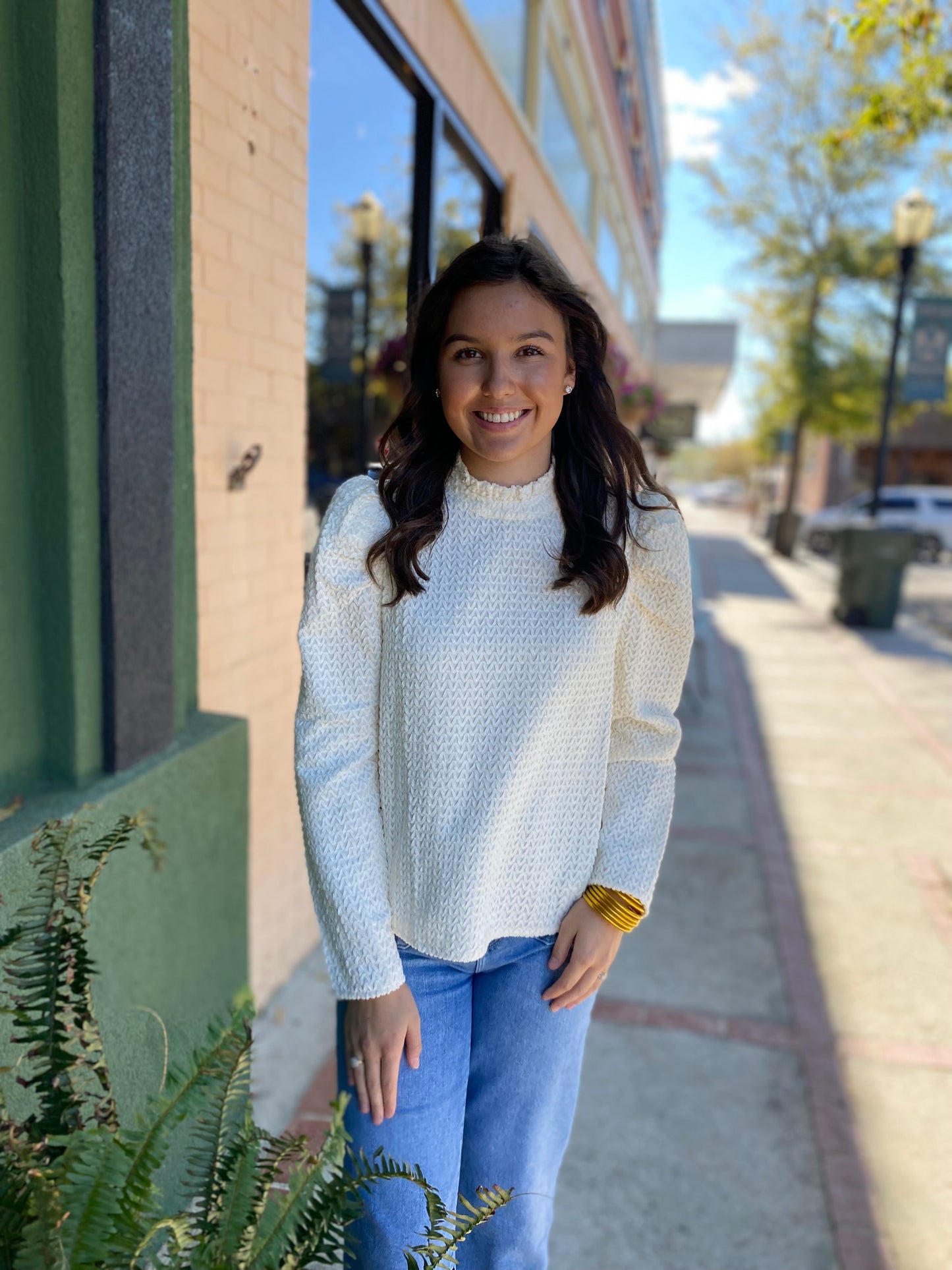 Cream Puff Sleeve Top