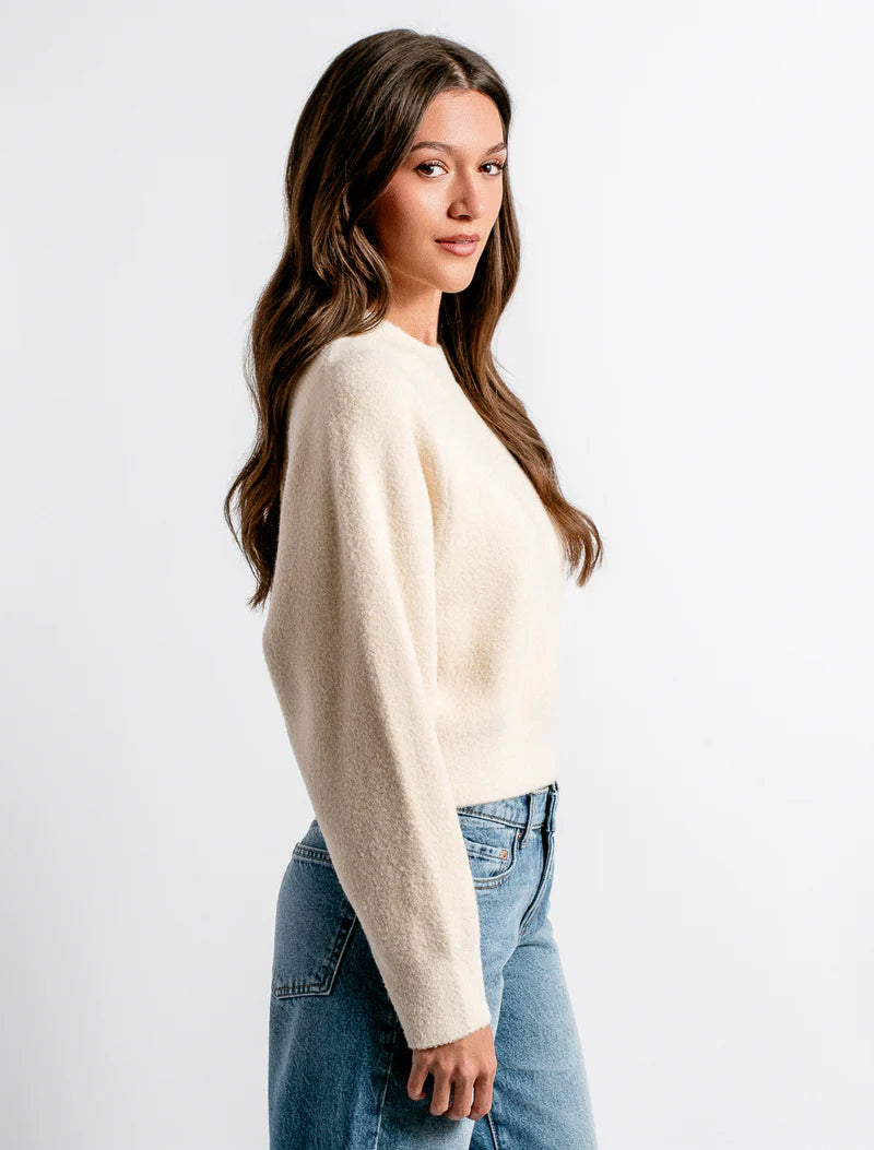 Carrara Solid Sweater