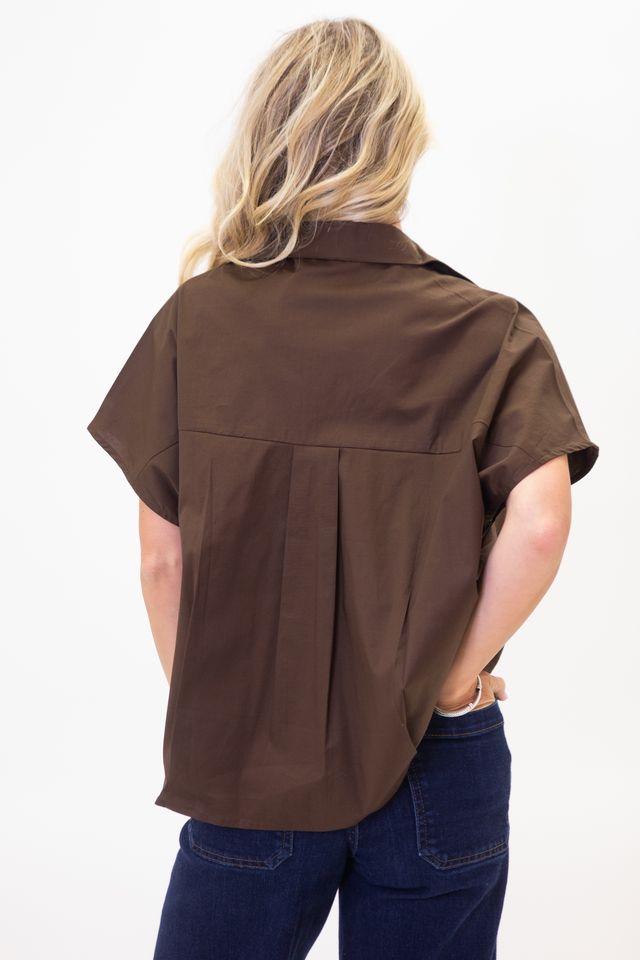 The Brown V-neck Collar Top