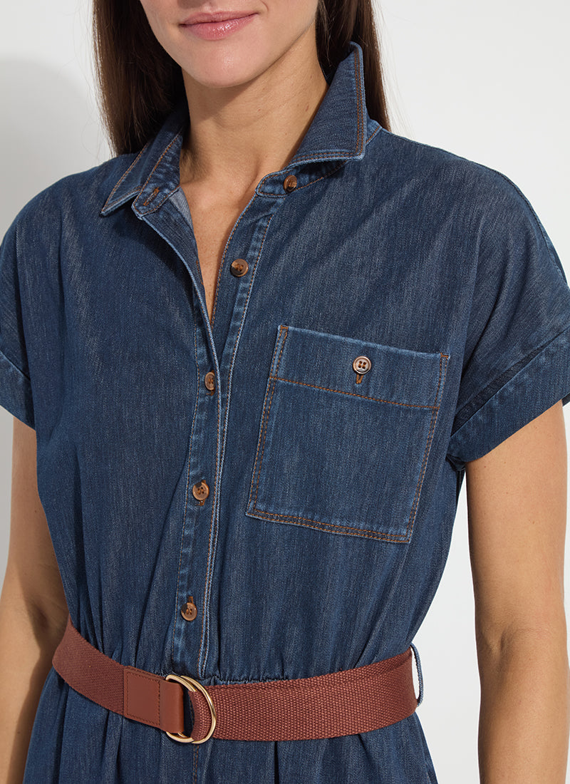 Indigo Denim Belted Dress