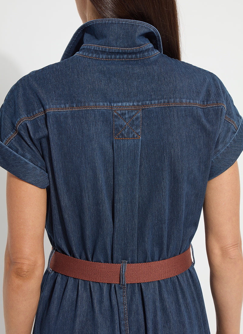 Indigo Denim Belted Dress