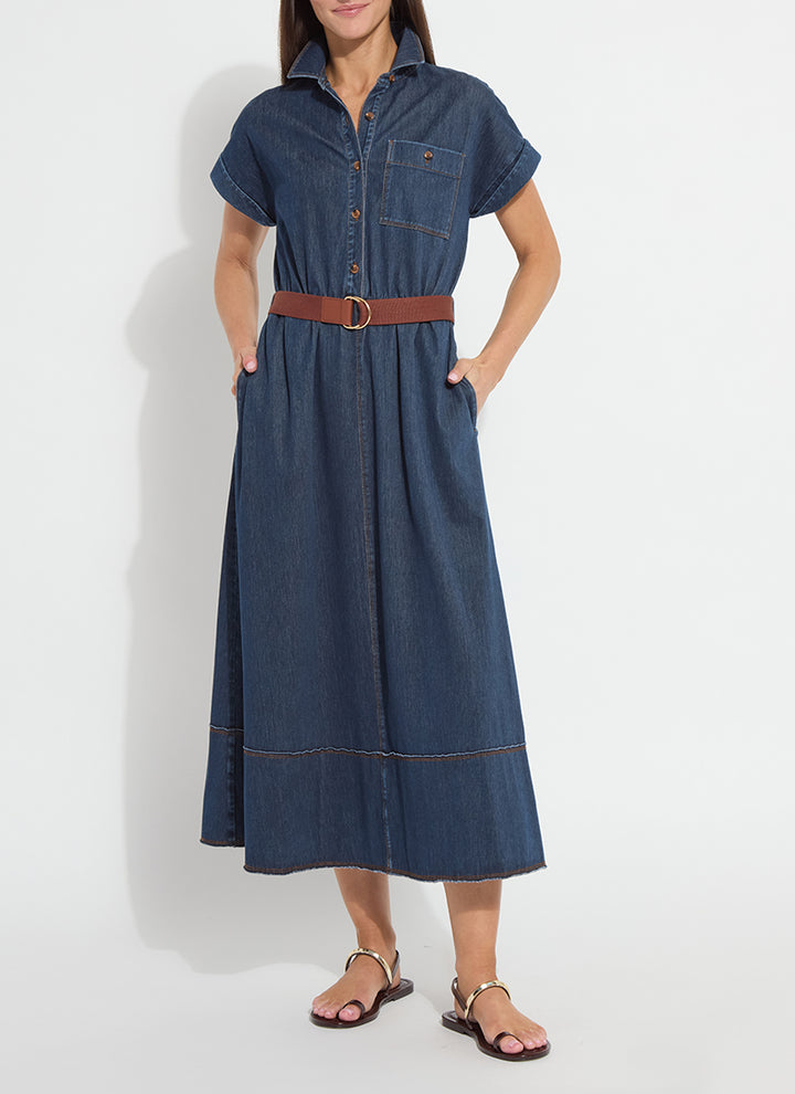 Indigo Denim Belted Dress